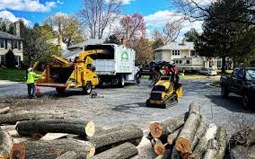 Best Leaf Removal  in New Richmond, OH