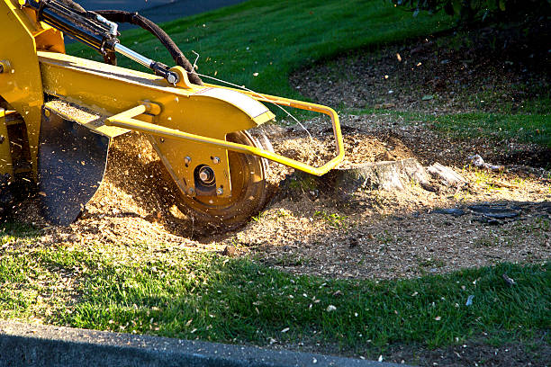 Best Aeration Services  in New Richmond, OH